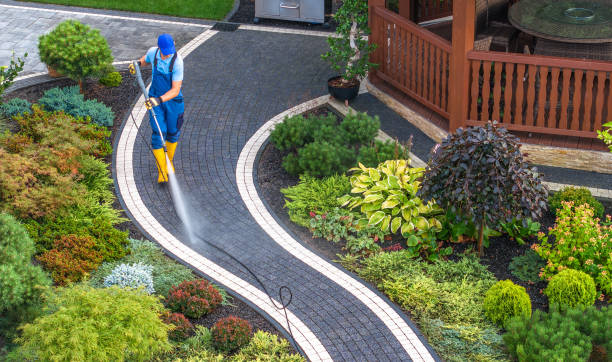 Best Pressure Washing Driveway  in Dell Rapids, SD
